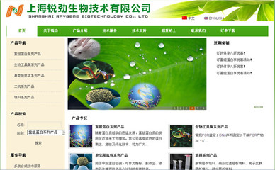 上海欧开专业网站建设,网站推广_上海百业网